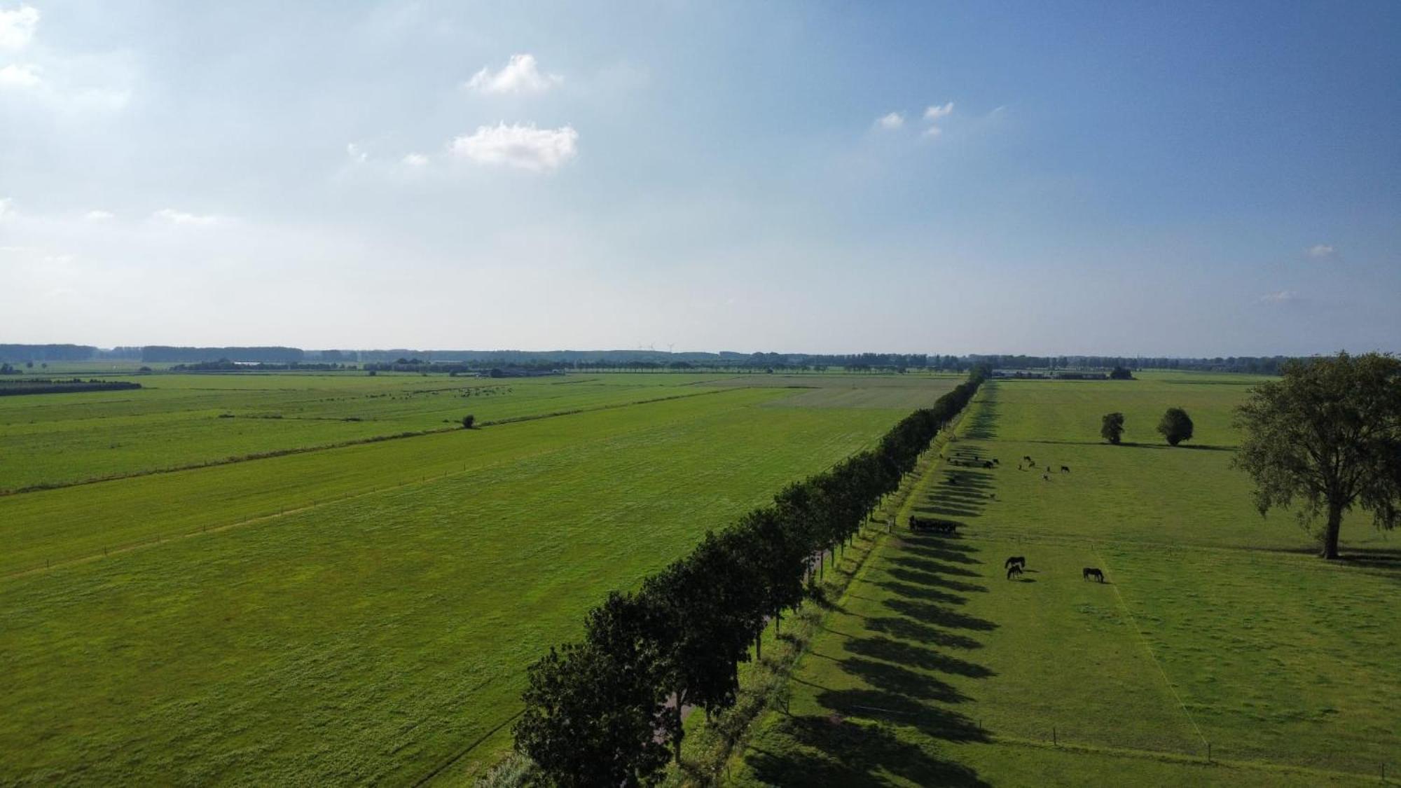 Landelijke Huis In De Betuwe Tricht Exteriör bild