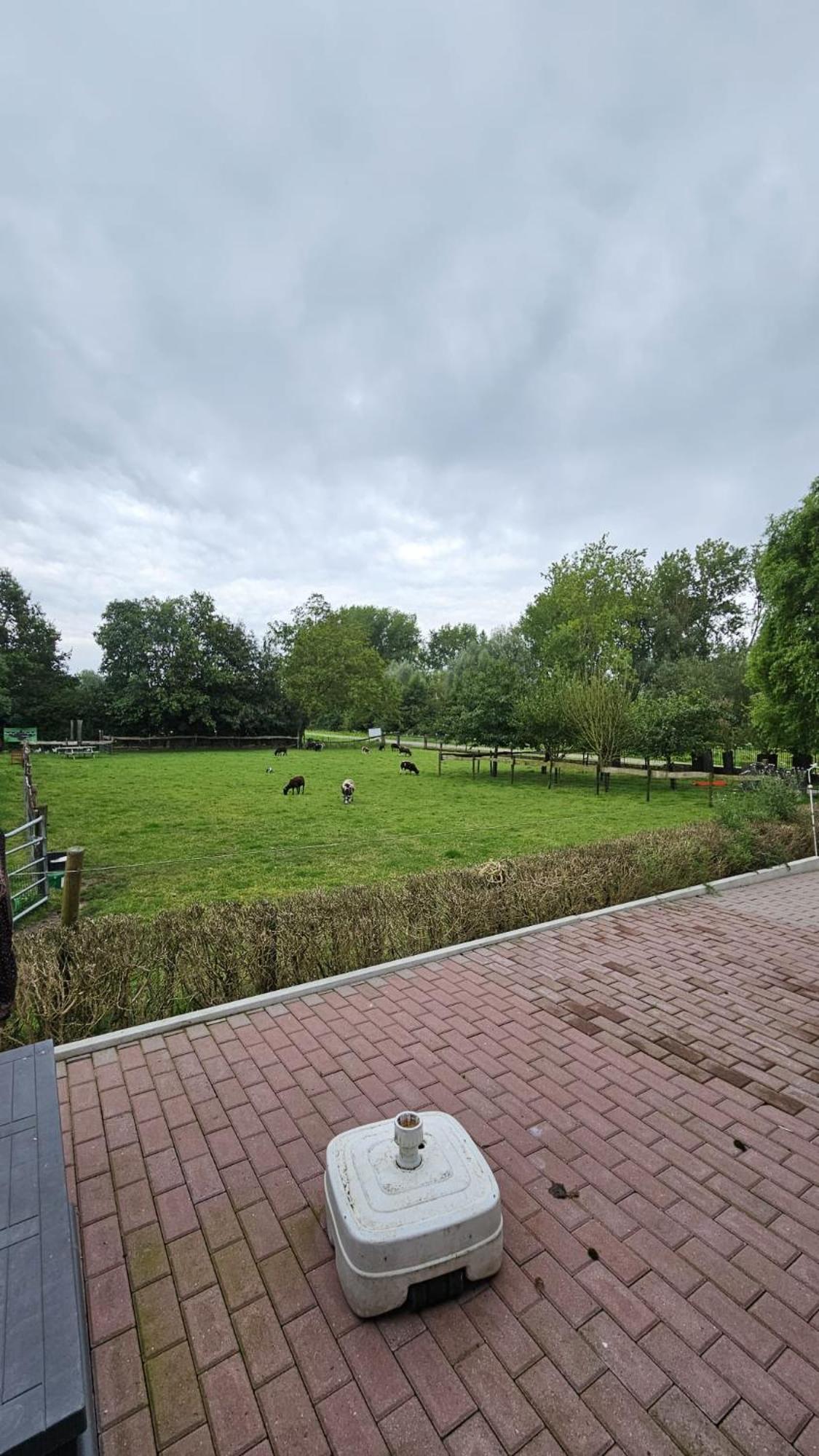 Landelijke Huis In De Betuwe Tricht Exteriör bild